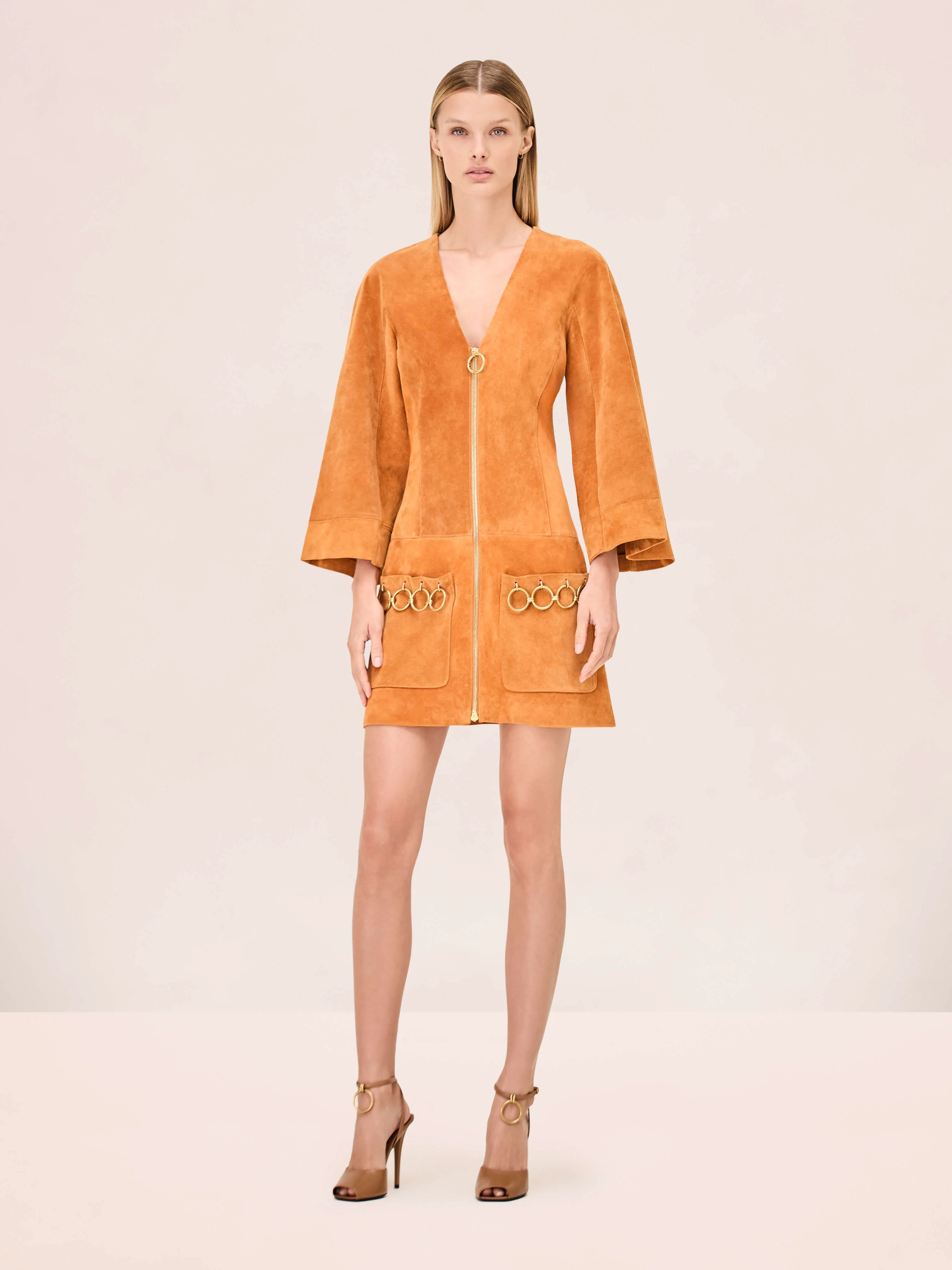 Anesa Dress